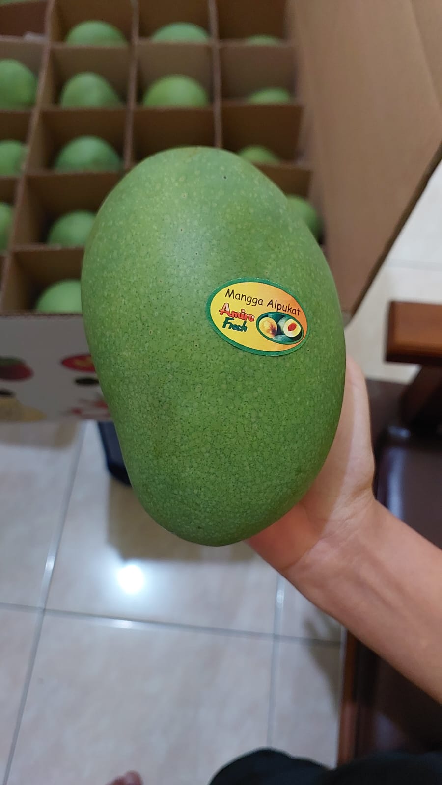 zo-th-1